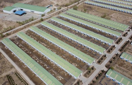 甘肅:在鄉(xiāng)村振興中做好農(nóng)業(yè)發(fā)展“大文章”