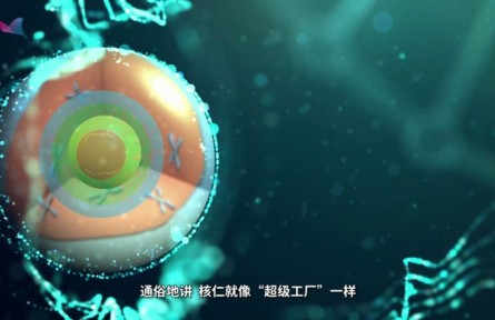 科普 | 上?？茖W家發(fā)現(xiàn)核糖體RNA“超級工廠”的運行新機制