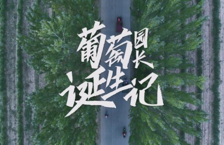 王月英：葡萄園長(zhǎng)誕生記