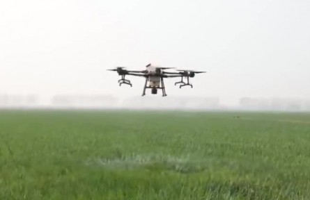 安徽:不斷優(yōu)化農村金融服務體系 全面助力鄉(xiāng)村振興