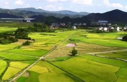 檢察機(jī)關(guān)啟動(dòng)參與糧食購(gòu)銷領(lǐng)域腐敗問(wèn)題專項(xiàng)整治工作