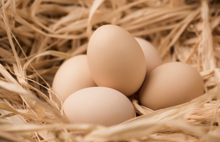 辟謠 | 吃雞蛋會(huì)影響心血管嗎？每天到底能吃幾個(gè)雞蛋？