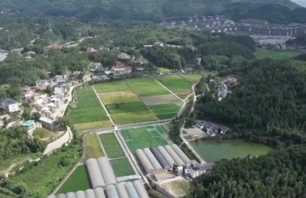 數(shù)字賦能 福建加快建設現(xiàn)代農(nóng)業(yè)體系