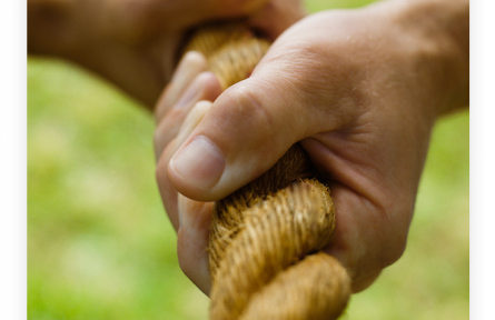 ?名言 | 呂不韋：任力者故勞，任人者故逸