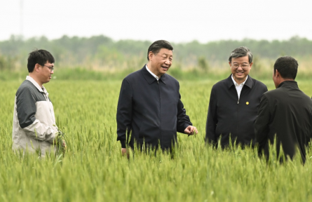 一見·從總書記下田，看糧食安全的“加減法”