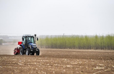 如何守護好“耕地中的大熊貓”？——東北三省糧食生產(chǎn)蹲點調(diào)研之三
