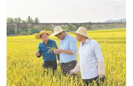 40年南北遷徙，育種人無問西東——記江蘇里下河地區(qū)農(nóng)業(yè)科學研究所水稻育種團隊