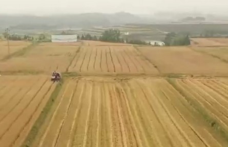 全國(guó)夏收拉開(kāi)序幕 多地喜獲豐收