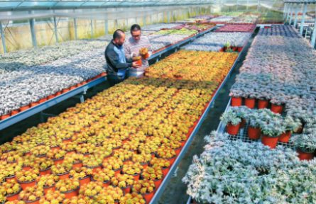 浙江:“共富工坊”激活鄉(xiāng)村振興新引擎