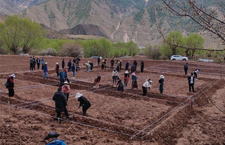 西藏：技術送到家 賦能農(nóng)牧業(yè)