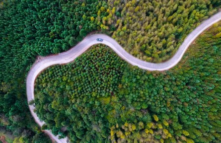 縣融記者:鄉(xiāng)村“美”了 日子“甜”了