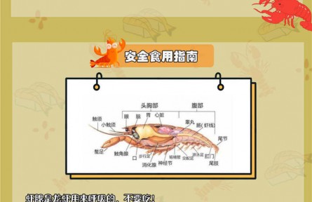 小龍蝦自帶寄生蟲？體內藏著重金屬？吃小龍蝦原來有這些講究