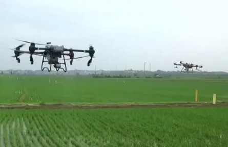 湖南臨湘：科技防控病蟲害 助力早稻穩(wěn)產增產