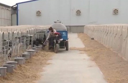 新疆兵團(tuán):畜禽養(yǎng)殖為鄉(xiāng)村振興添活力