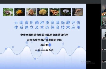 中華全國供銷合作總社昆明食用菌研究所“云南食用菌種質(zhì)資源收集保存、鑒定評價和生態(tài)促繁技術(shù)應(yīng)用”成果評價公告【2022（47號）】