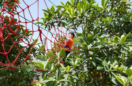 有“顏值”，更有“產(chǎn)值”——浙江杭州臨平美麗鄉(xiāng)村走訪見聞