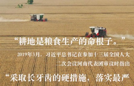 習(xí)近平總書記關(guān)切事|藏糧于地、藏糧于技，筑牢豐收之基