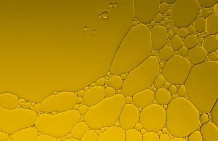 科技名詞 | 脂類(lèi)  lipid