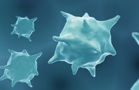 科技名詞 | 腫瘤壞死因子  tumor necrosis factor，TNF