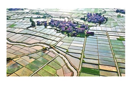 糧食生產(chǎn)如何應(yīng)對今夏“大烤”？