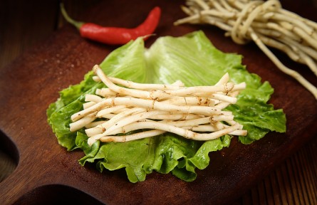 魚腥草是“害人草”含有一級致癌物？來看真相