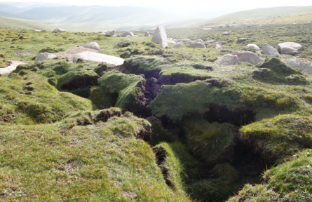 科普 | 青藏高原的凍土化了怎么辦？