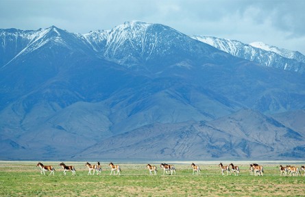以美麗中國建設(shè)全面推進(jìn)人與自然和諧共生的現(xiàn)代化