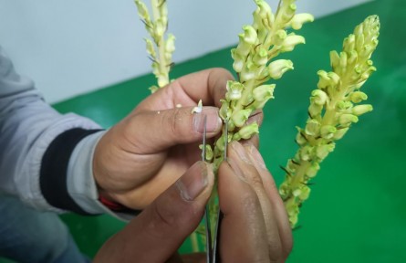 貴州:拉動“轉綠鏈條”實現(xiàn)生態(tài)惠民