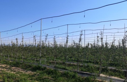 打造鄉(xiāng)村美產業(yè)興百姓富新圖景——山西臨汾鄉(xiāng)村振興實踐觀察