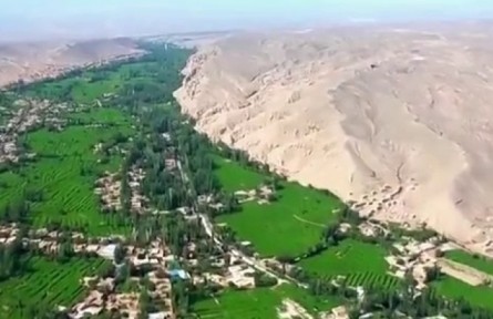 新疆:特色林果產業(yè)加速升級