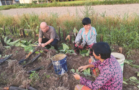 浙江臺州：持續(xù)派強(qiáng)用好農(nóng)村工作指導(dǎo)員
