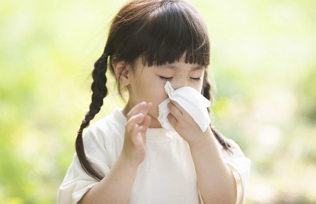 一年感冒6次就是抵抗力弱？錯！建議做好這4點