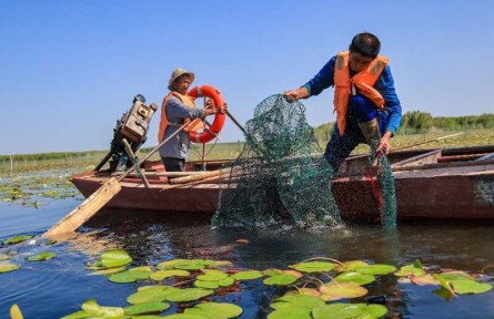 沿著河湖看新疆 | 新疆好地方，內(nèi)陸?zhàn)B“海鮮”