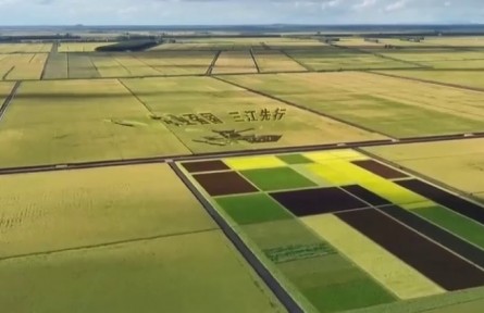 黑龍江建三江:為中國(guó)飯碗里裝上更多優(yōu)質(zhì)糧