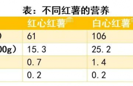 辟謠 |“吃烤紅薯能減肥”“烤紅薯致癌”，到底哪個是真的？