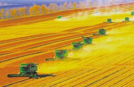 北大荒，了不起