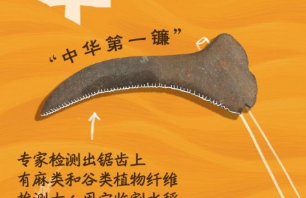 從“鏟鏟盤盤”中，一窺8000年前的豐收圖景