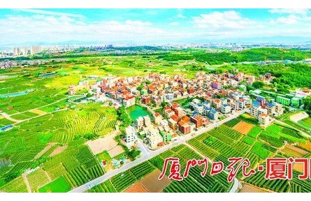 福建廈門：深入學習“千萬工程”經驗 走農業(yè)農村現(xiàn)代化之路