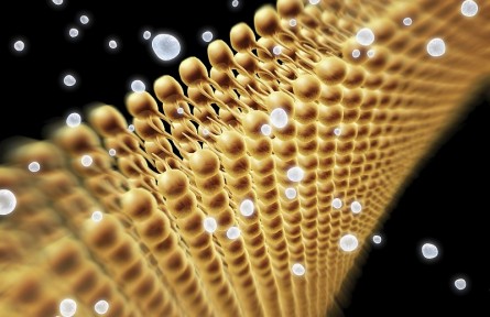 科技名詞 | 離子交換層析 ion exchange chromatography，IEC