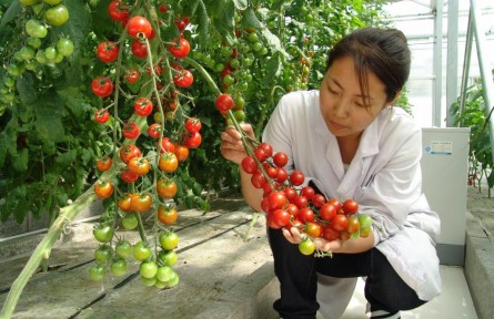 豐收季，來看這個(gè)國(guó)家農(nóng)業(yè)科技園區(qū)的“黑科技”