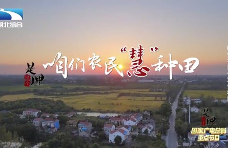 《是這個(gè)理》:咱們農(nóng)民“慧”種田