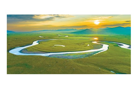 科普 | 為什么大草原上樹很少？