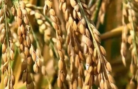 270億、200余億、15億，通過(guò)數(shù)據(jù)看經(jīng)濟(jì)……