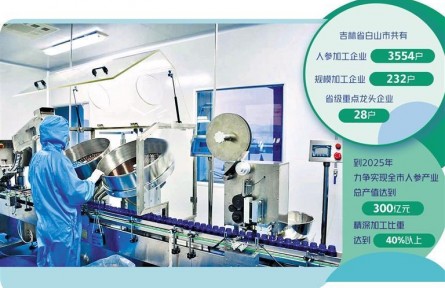 吉林白山:“百草之王”撐起支柱產(chǎn)業(yè)