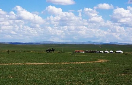 種薯、種羊暢銷全國！四子王旗草原綠色發(fā)展后勁足