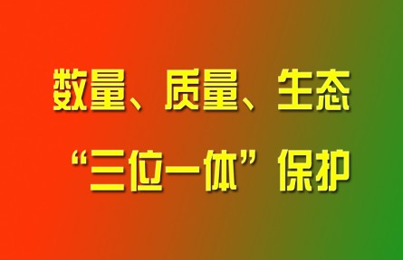 習(xí)近平論強化耕地數(shù)量、質(zhì)量、生態(tài)“三位一體”保護(hù)
