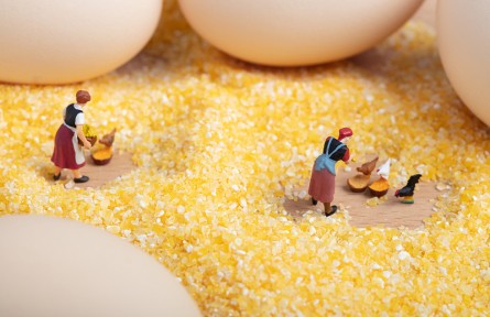 科技名詞 | 熱增耗  heat increment，HI