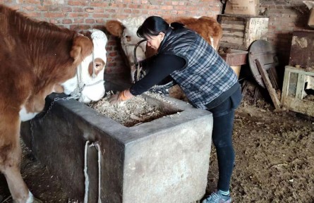 趙振華:奔跑在“鄉(xiāng)村振興”的賽道上