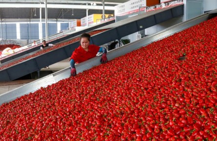 貴州遵義:東西部協(xié)作盤活閑置資產(chǎn)帶動鄉(xiāng)村振興