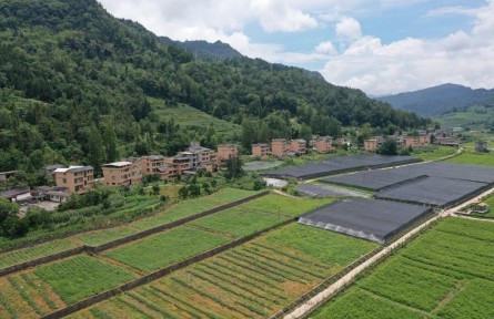 湖北恩施:新業(yè)態(tài)助力鄉(xiāng)村振興